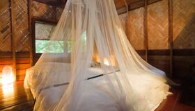 Wake up to rice fields – your Vietnam Travel starts here